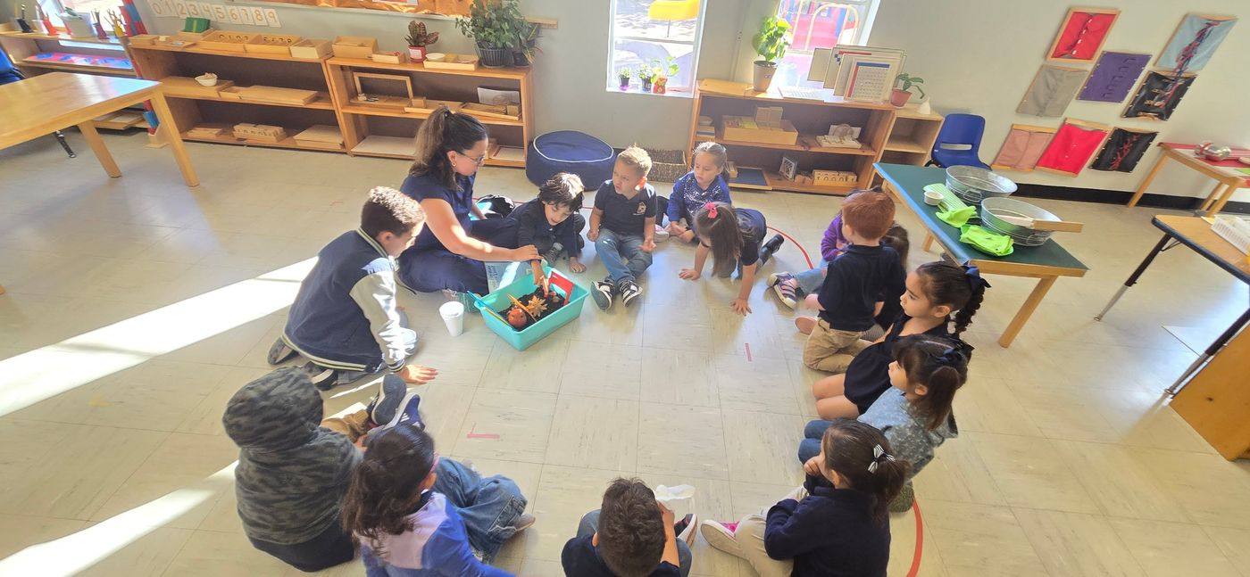 Children gather around a guide to explore soil and seeds